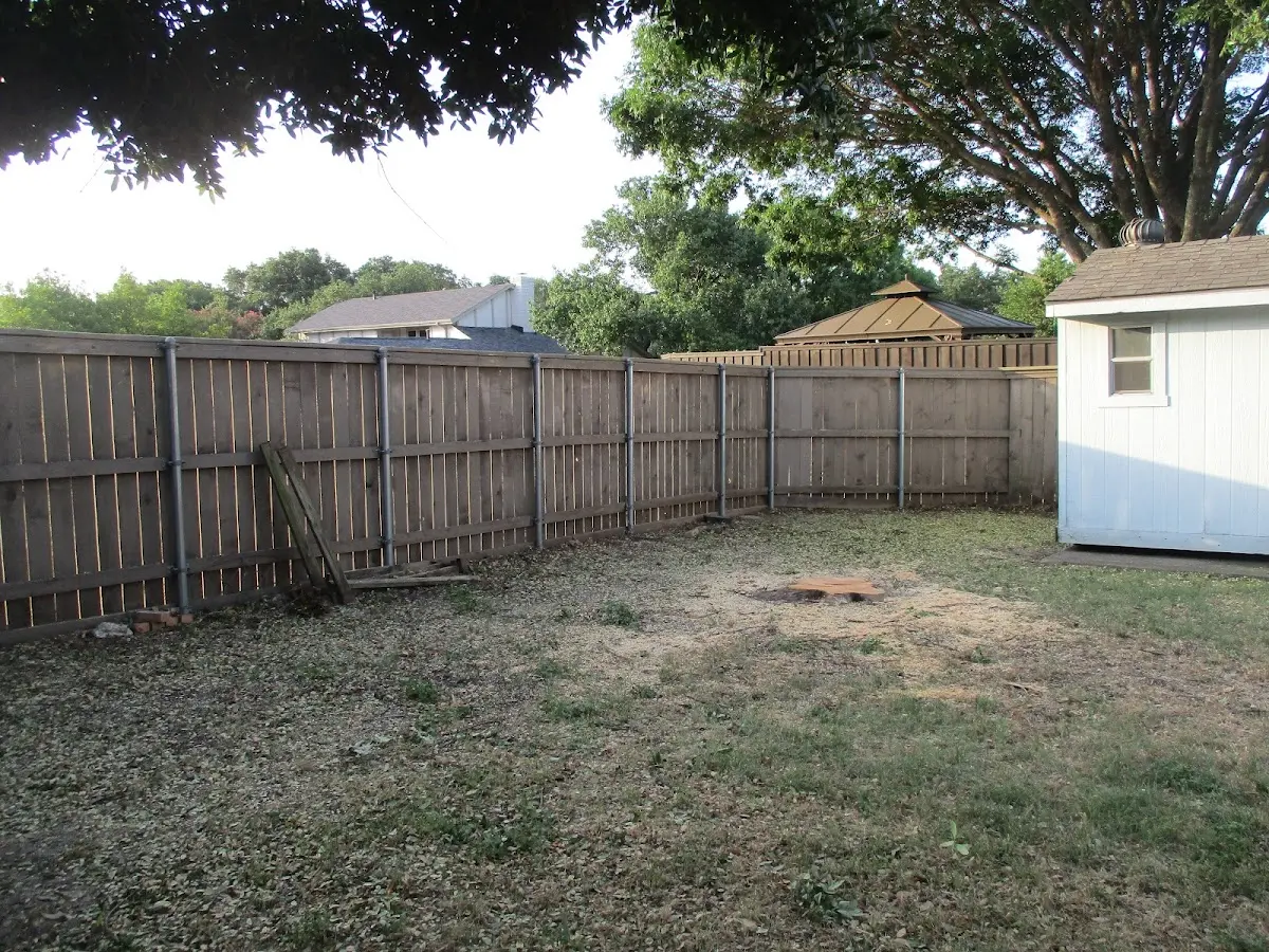 Cleared yard after professional tree removal in Box Springs